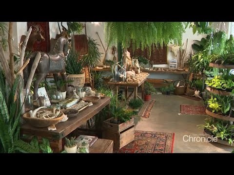 NH Chronicle: Root Rot in East Hampstead