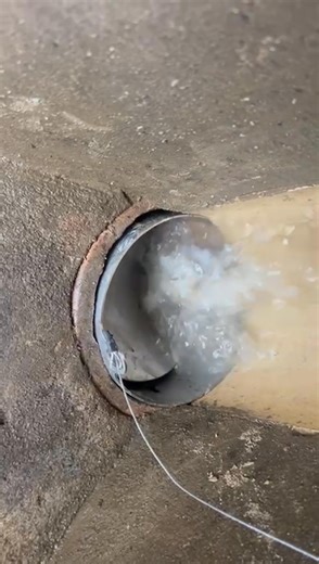 Stopping those rats from coming into your property! #ratgates #pestcontrol #preventionrats from | DCL Pest Control Rodent Prevention & Drainage Investigation Ltd