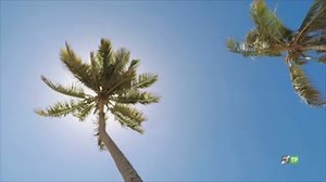 El paraíso dominicano de Punta Cana, próximo destino de Andaluces X América | #AxPuntaCana ⌚️ 21:45 h. #CanalSurTV 📺 Más info ℹ️ http://csur.red/LAoo50xcOnL #FelizDomingo | CanalSur Radio y Televisión