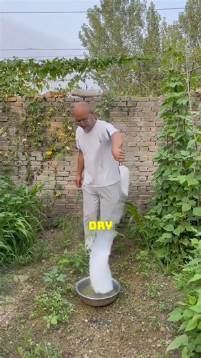 470K views · 6.2K reactions | Dry Ice Pest Control Method #DryIce #GardeningTips #PestControl #CO2Fog #GardenHacks | Satisfying Videos | Facebook