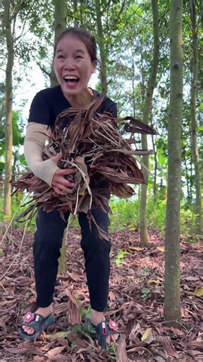 Simple Yet Effective Hunting Tips in the Forest#Survival #Hunting #LifeHacks