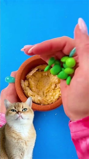 😋🧇 Delicious Waffle Balls DIY 🧇💥 Easy Dessert Hack You Can’t Miss! #cat #reaction