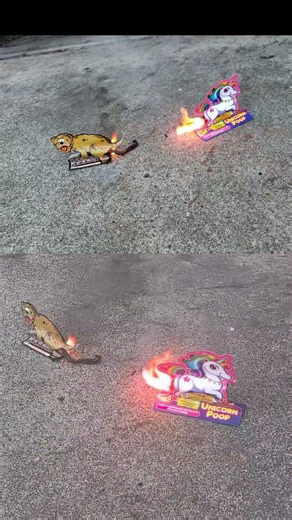💩 Unicorn Poop 🦄 vs Poopy Pooch 🐶 | Which Poop Firework Wins?! 🔥 #shorts