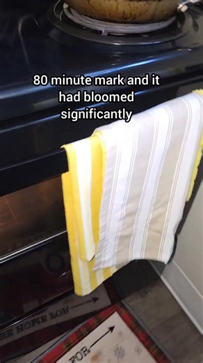 Full #recipe #video for my Lemon 🍋 Champagne Pound Cake is posted on my YouTube channel The Chef and the Baker RVA Part 17 | Mama Sofana's Buttercream Dreams