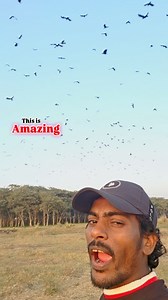 39K views · 1K reactions | OMG this is amazing #crow__voice | राजू कुमार | Facebook