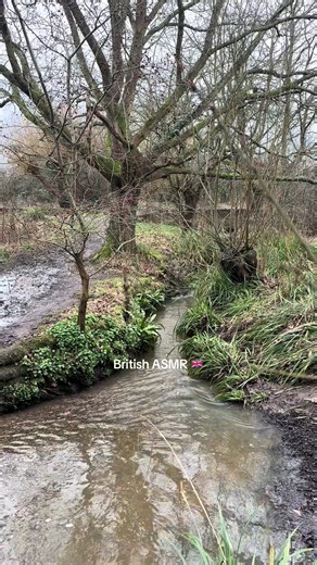 🇬🇧🌊🦆 #asmr #relaxing #british #uk #peaceful