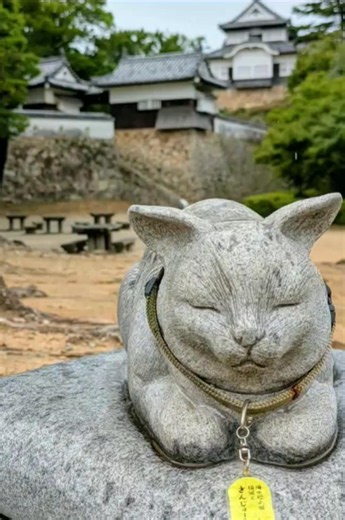 #備中松山城攻略１#ふいご峠から登山😱💦#連郭式山城#高梁市
