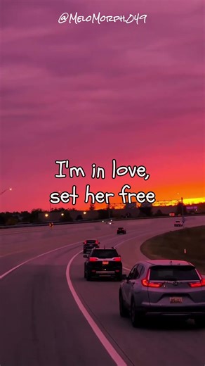 Brother Louie lyrical edit #lyrics #music #edit