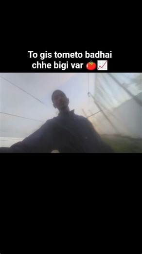 #vlog #explore #tometo #farming