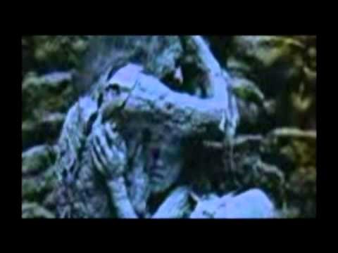 Cry Little Sister Vampire Tribute