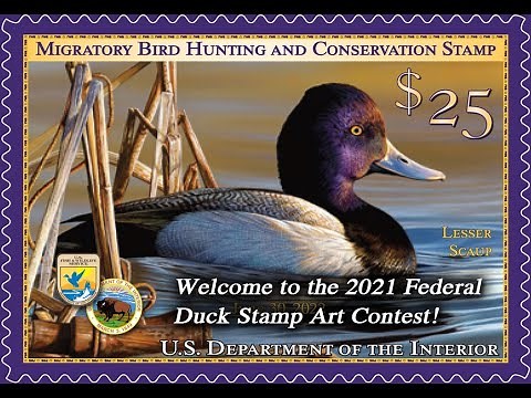 2021 Federal Duck Stamp Art Contest - Day 1
