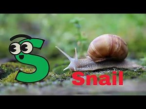 ABC Animals Song for Kids | A to Z Alphabet | JoyJoy Jingles