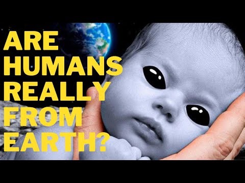 Are Humans Really From Earth? Exploring the Extraterrestrial Origin Hypothesis