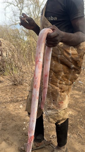 Real Savanna Stories on Instagram: "“This is the real expert in roasting python meat BBQ 🔥🐍 — skill, patience, and tradition done the Hadzabe way 😋🌿” #fblifestyle #HadzabeTribe #hadzabetribe #Chaba #Dudukwee #AfricanCulture #TribalLife #TraditionalBBQ #BushLife #FBReels #WildLiving #ExploreAfrica #ViralReels #RealAfrica"