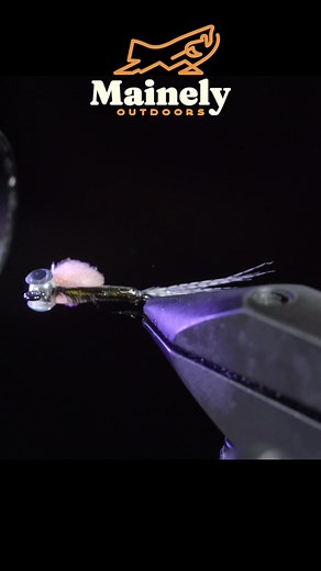 I’m calling this the Yuppy Guppy; it’s a pattern I like to use swinging through the current as a wet fly during run-offs. Fish are quick to chase this one down and have made for some of my most startling takes! It can also make for a good dropper fly on your euro rig. Give this one a shot! #trout #troutfishing #jig #river #fish #outdoors #relaxing #asmr #flyfishing #flybox #flytying #howto #craft #arts #glassblowing #troutfishing #bass #bassfishing #panfish #icefishing #catching #spring #crappie