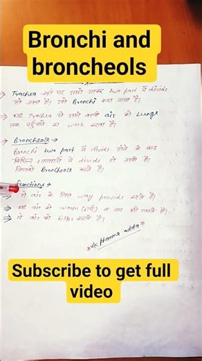 bronchi and broncheols|respiratory system|biology|medical knowlwdge #viral #shortfeed #bronchioles