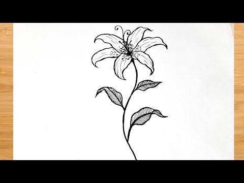 How to Draw a Beautiful Lily Flower Step by Step | Easy Flower Drawing Tutorial