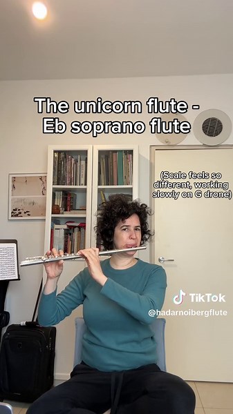 Adjusting to the Eb Flute: Patience in Learning