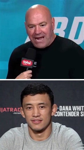 Dana White Says Akbar’s Punch Sounded Like a BASEBALL BAT 😳