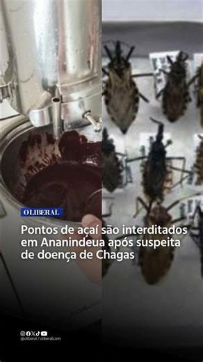 ⚠️ Pontos de açaí são interditados em Ananindeua após suspeita de doença de Chagas