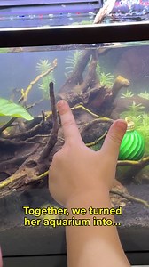 See how Nova decorates her fish tank for the Holiday season! 🎁🐠 Shop all your pet’s holiday must-haves in store or online at PetSmart.ca #AnythingForPets #petsmartcanada #fishtank | PetSmart