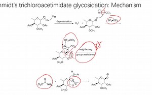 有机人名反应（239）：Schmidt’s trichloroacetimidate glycosidation reaction