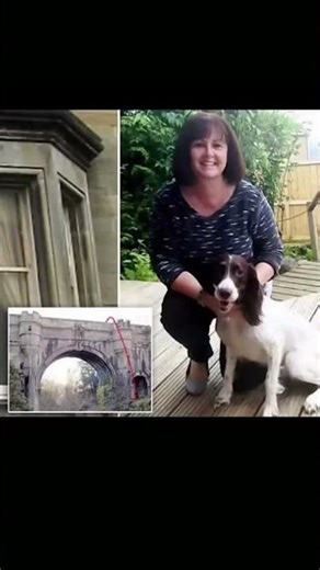 پل اورتون اسکاتلند که سگ ها روش خودشون رو میکشن 😨 #horror #scary #scaryshorts