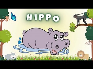 hippopotamus Introduction | Educational Videos For Kids | Animal Names