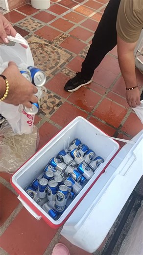 Hilarious Christmas Moments to Brighten Your Holiday