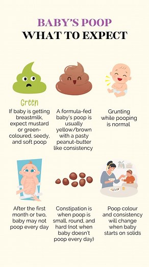 Baby‘s Poop 101: What to Expect ✨ Whether breastfed or formula-fed,...