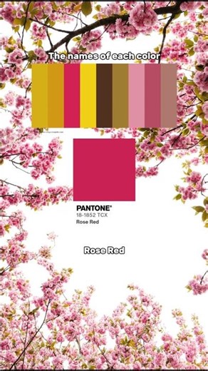 Sakura Bloom: Naming Every Name Color in this Cherry Blossom Wallpaper! #colortheory #colorpalette