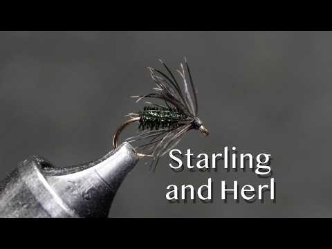 Starling and Herl soft hackle fly pattern