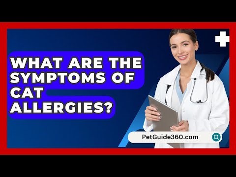What Are The Symptoms Of Cat Allergies? - PetGuide360.com