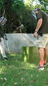 13K views · 112 reactions | This highly venomous Ashes spitting cobra...