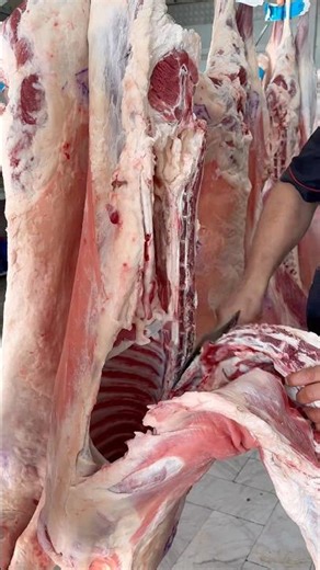 How to cut up a sheep carcass#shorts