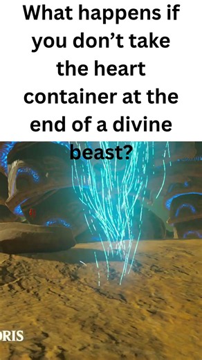 What happens if you don’t take the heart container #botwshorts #zelda #whatif