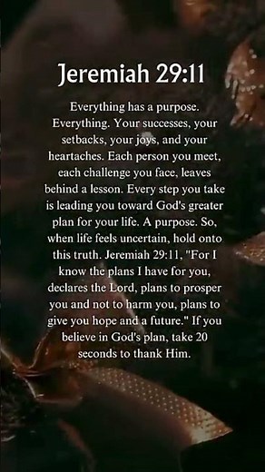 ⚠️ Don't Skip This Bible Verse | Jeremiah 29:11