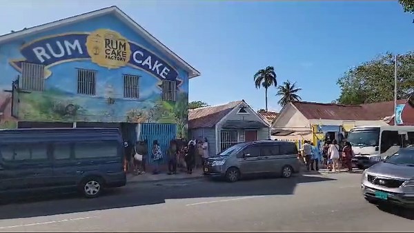 The Bahamas Rum Cake Factory – Mixed Flavors, Caribbean Rum Cakes with Alcohol, 4 oz – 6 Packs