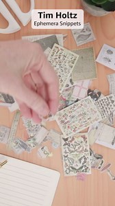 Tim Holtz Idea-ology EPHEMERA SNIPPETS ID FIELDNOTES, us:one size, Field Notes