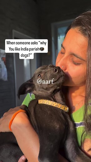 Our Indian pariah dog are soo beautiful and intelligent so why produce breeds for money instead you just adopt one from any street or shelter homes 🏡 🐾🙏💕🐶🏡🌈and Change their time with one step towards their endless love and offering them a good life by putting an end to the suffering on streets even for search of one time meal 🐾🙏🐶💕❤️‍🩹 #adoptdontshop #hooman #lovelife #dogstagram #dogsoftheday #adopt #shelterhome #sharethelove #support #puppies #rescuedismyfavoritebreed | Saw Aman Wal