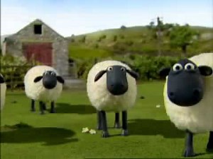 Shaun the Sheep - DVD Trailer