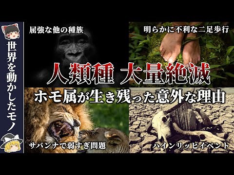 【絶滅の人類史】幾度も絶滅を乗り越えた人類【ゆっくり解説】急激な気候変動により過酷な環境での生存を強いられた人類｜度重なる自然淘汰により人類は大きく進化した