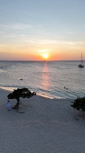 4.6K views · 137 reactions | Golden Hour at Eagle Beach  #aruba #vacation #travel #beach #eaglebeach | Aruba Papers | Facebook