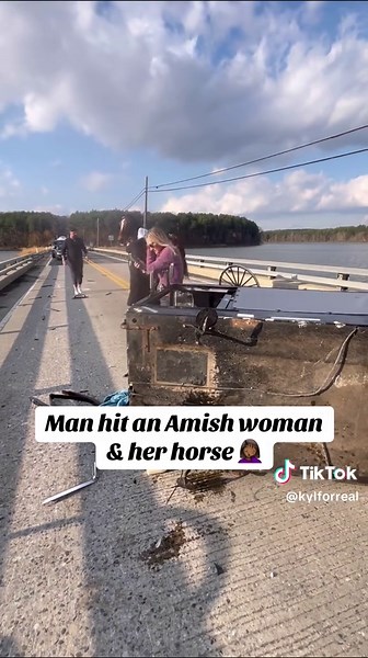 Amish Woman and Horse Hit by Car: Unfortunate Accident