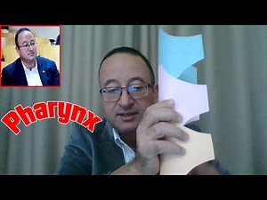 𝐏𝐡𝐚𝐫𝐲𝐧𝐱 (𝐏𝐫𝐚𝐜𝐭𝐢𝐜𝐚𝐥 𝐭𝐞𝐚𝐜𝐡𝐢𝐧𝐠 𝐨𝐧 𝐚 𝐦𝐨𝐝𝐞𝐥)