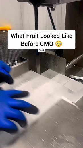 The Fascinating Transformation of Fruits Before GMOs
