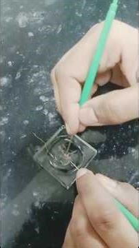 nematode extraction from infected root and microscopic view #phd #research#agriculturist #life