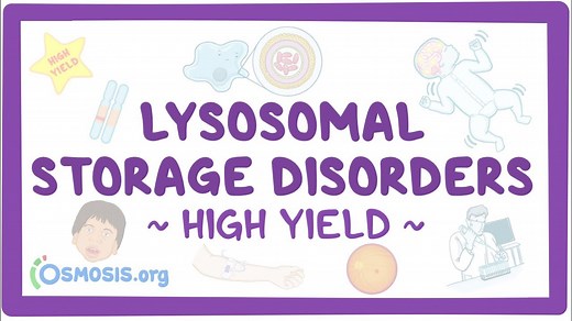 Lysosomal storage disorders: Pathology review: Video, Causes, & Meaning | Osmosis
