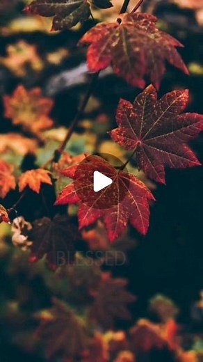 gospel song lyrics🎶🎼 on Instagram: "@english_praise_songs . . . #englishchristiansongs #gospelworshipsongs #blessedassurancelyrics #christiansongslyrics #jesussongs"