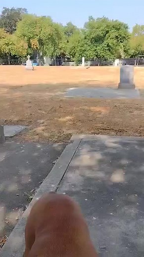 My brother found this disturbing bit of hair while on an adventure to a cemetery! #tumbleweave #cemetery #corpse #grave #gross #wtf #omg